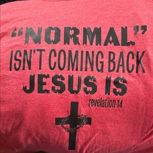 Unisex Gildan Red T-Shirt with Inspirational Message